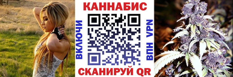 купить закладку  Шенкурск  Марихуана план 
